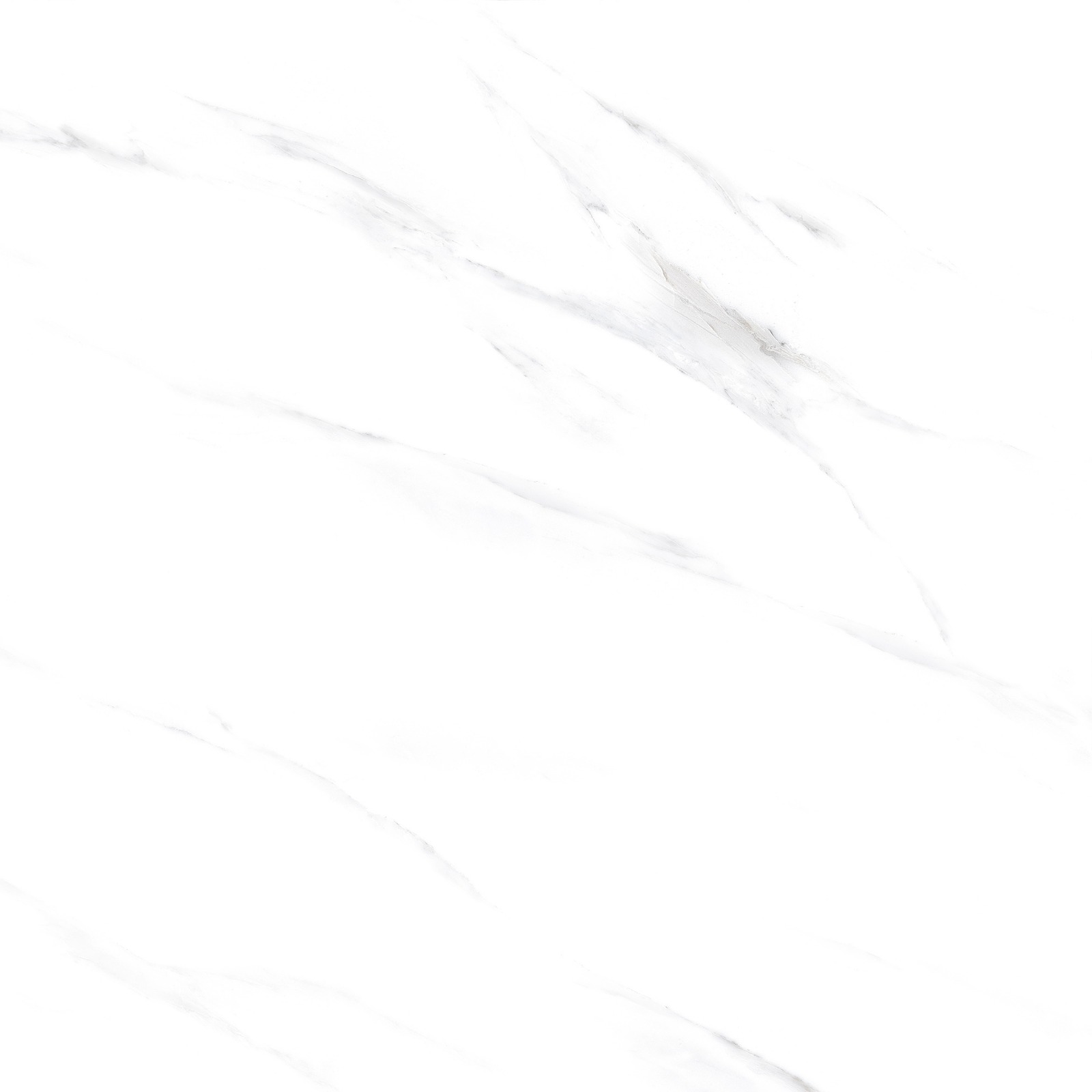 Kashmir White - Gambar 4