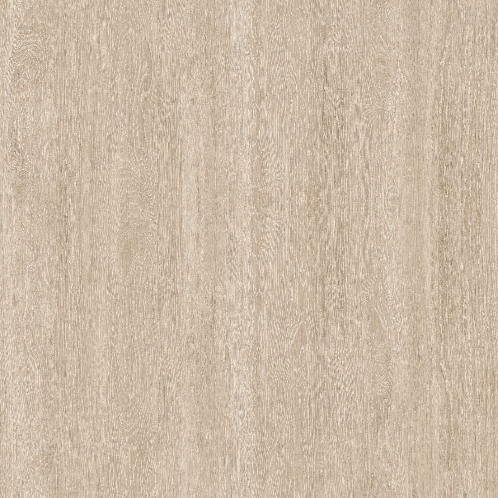 Acacia Cream Wood - Gambar 3