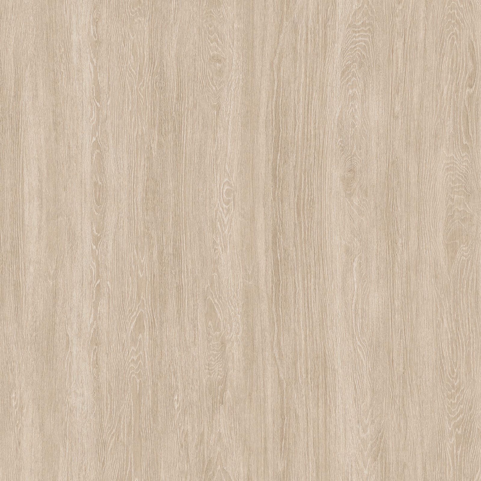 Acacia Cream Wood - Gambar 4