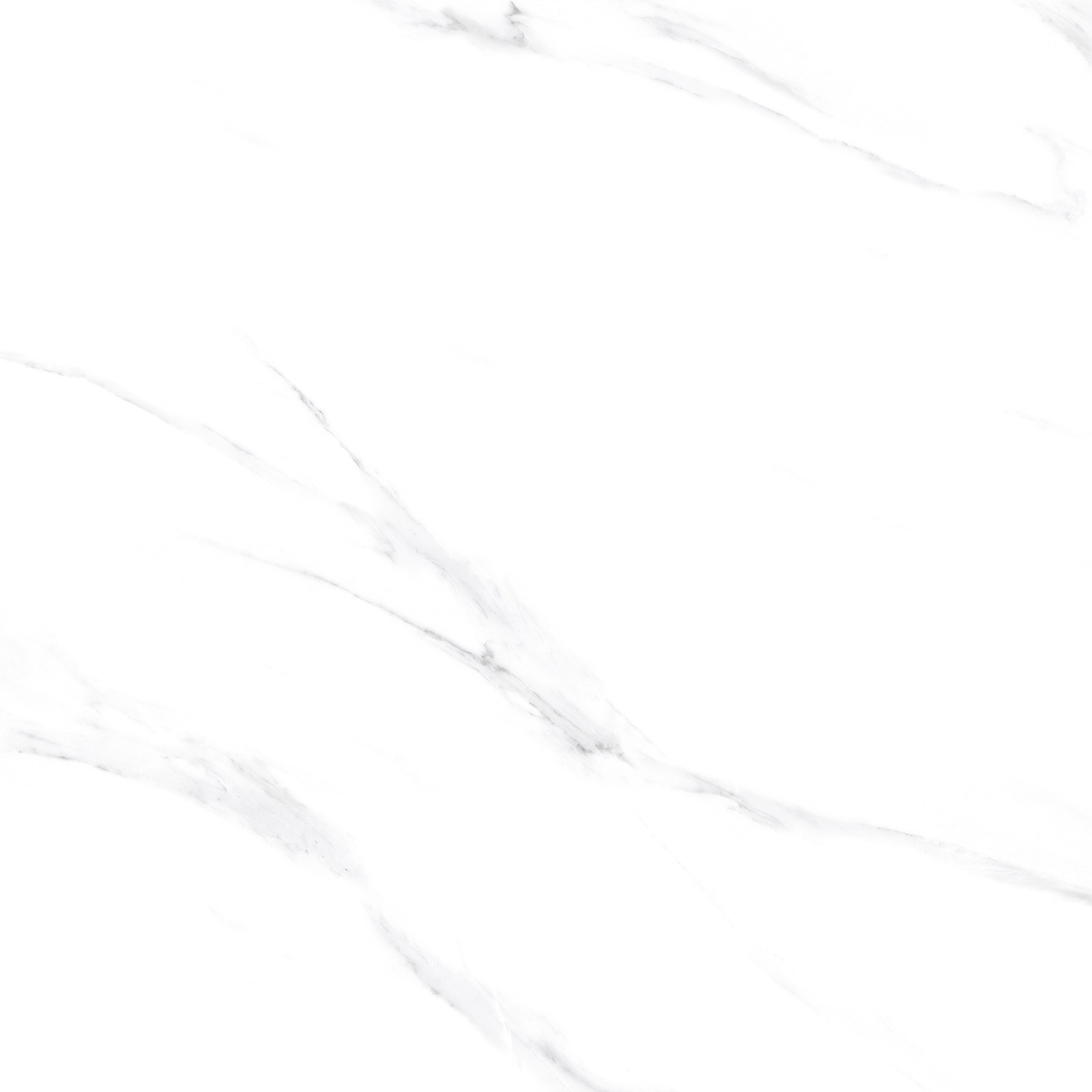 Kashmir White - Gambar 8