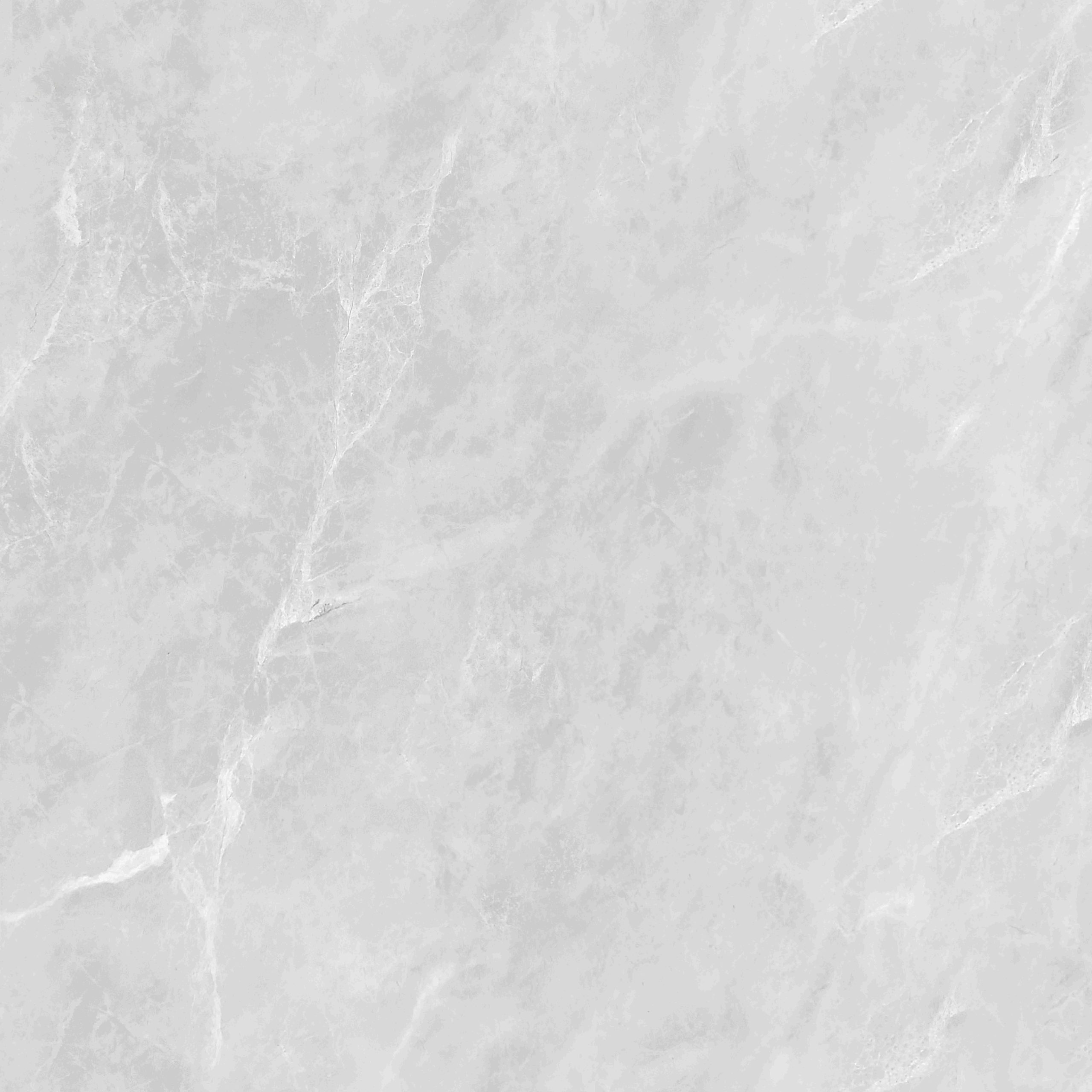 New Florida - Gambar 2